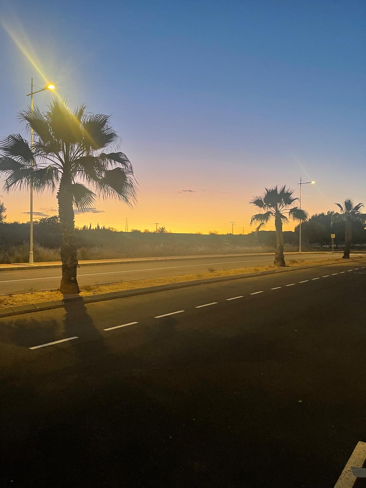 Zonsondergang met palmbomen